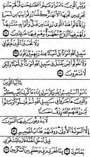 Photocopied Arabic Quranic verses on death and the righteous.